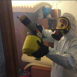 Уничтожение клопов в квартире. Развилка